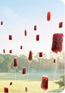 Beta-thalassemia transfusion independence